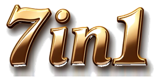 7in1 logo